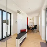 Apartment Garden